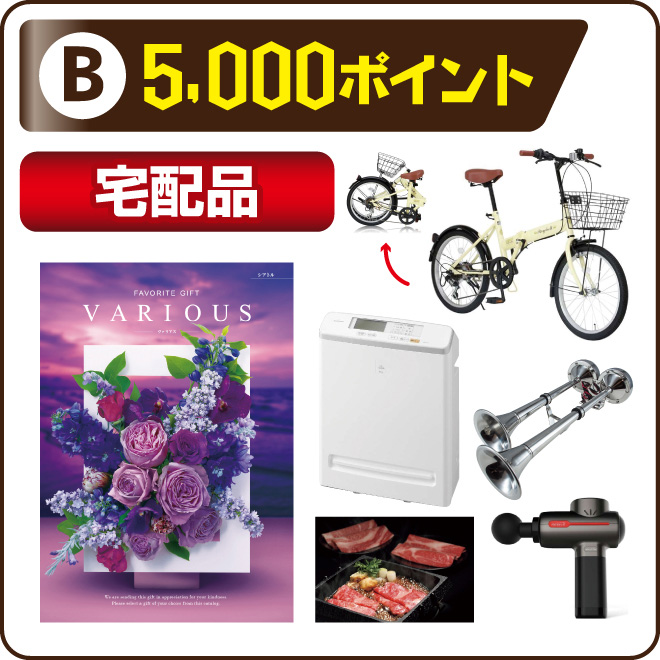 5000ポイント 宅配品