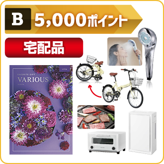 5000ポイント 宅配品